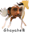 عيضة المنهالي