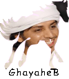 حربي العامري