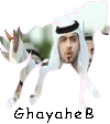 فرقة المزيود الحربية